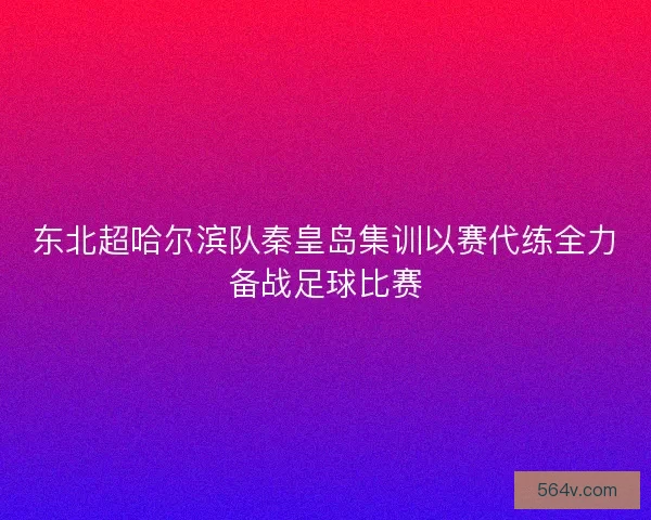 东北超哈尔滨队秦皇岛集训以赛代练全力备战足球比赛